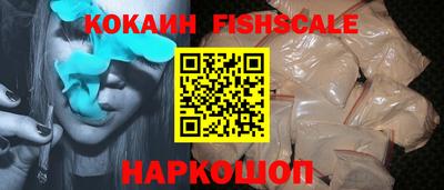 стаф Камышлов