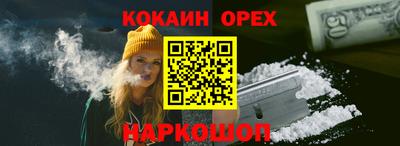 стаф Камышлов