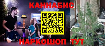 стаф Камышлов