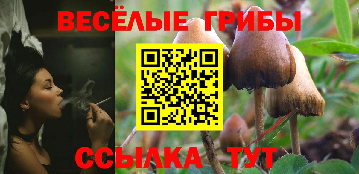 Кстово  Псилоцибиновые грибы GOLDEN TEACHER  Вход с VPN  Псилоцибиновые грибы MAGIC MUSHROOMS 